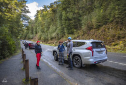 New Zealand 2025 (1 group) (32/66)